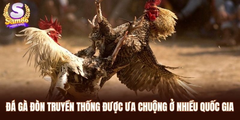 Đá gà đòn truyền thống được ưa chuộng ở nhiều quốc gia