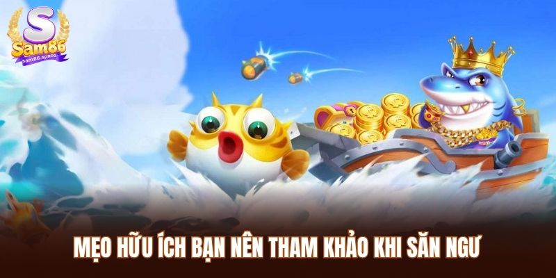 Mẹo hữu ích bạn nên tham khảo khi săn ngư