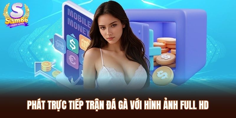 Phát trực tiếp trận đá gà với hình ảnh full HD